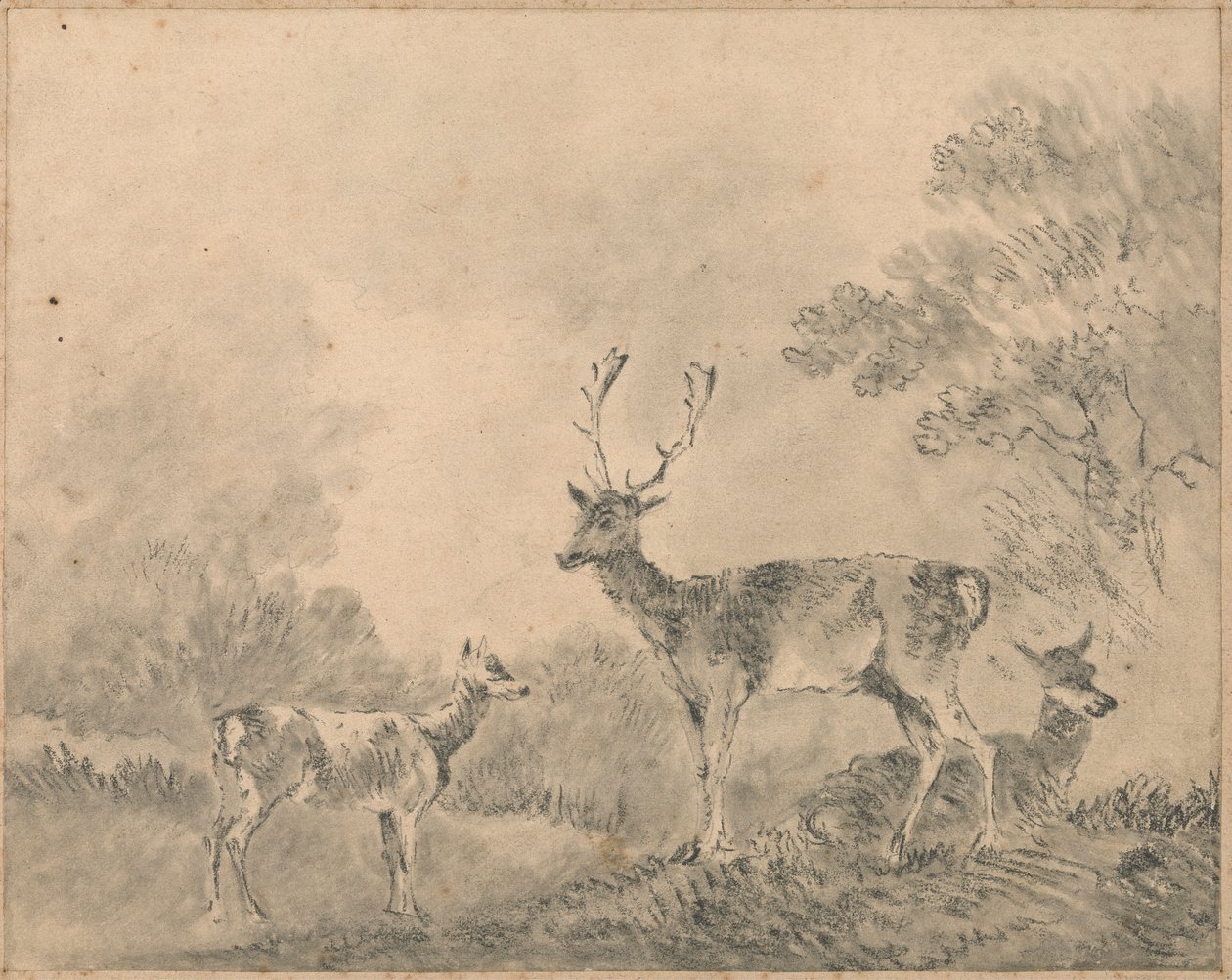 Dovhjort: Stag, Doe och Fawn i en glänta av Sawrey Gilpin