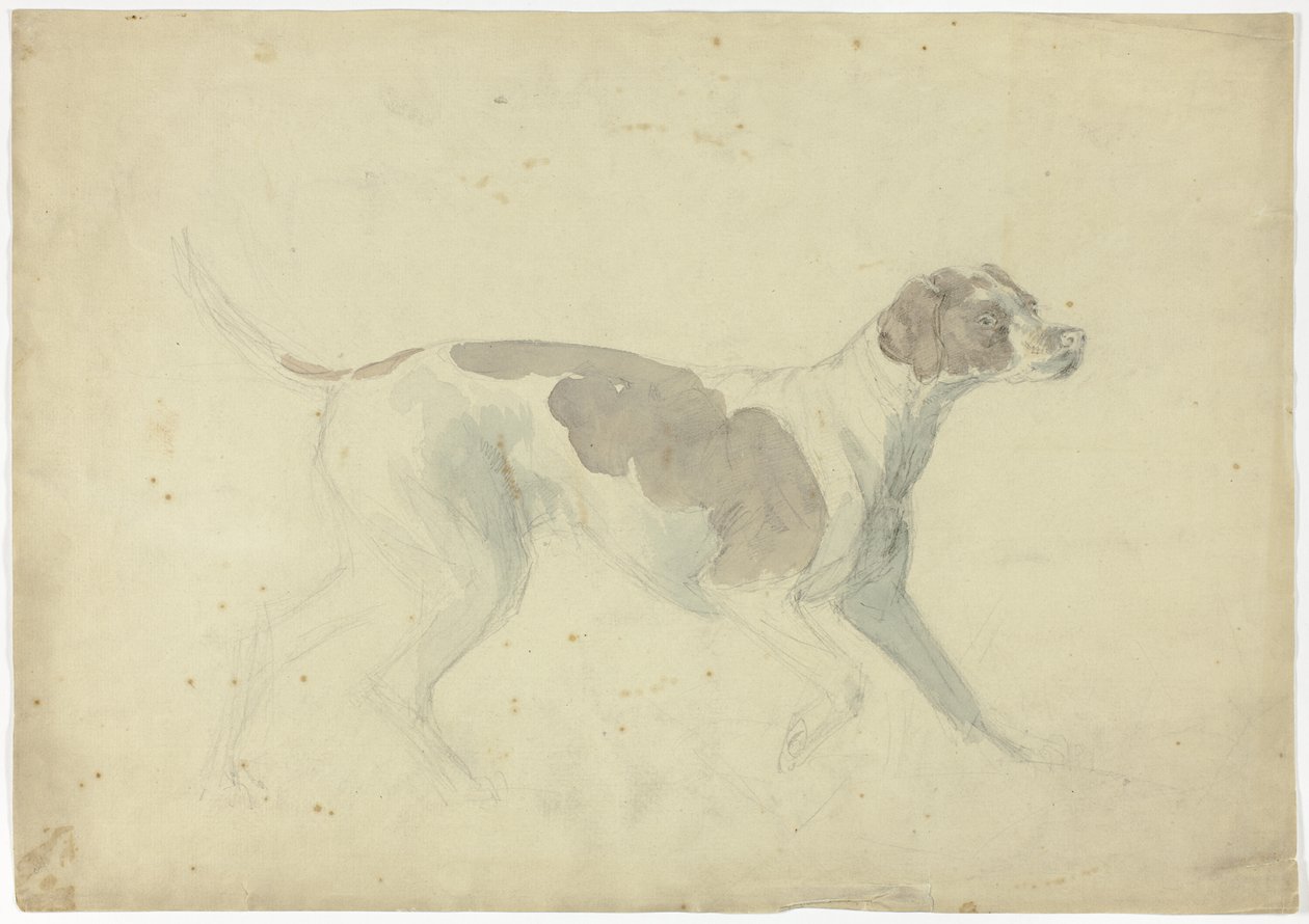 Fox Hound (recto); Skisser av häst och ryttare (verso) av Sawrey Gilpin