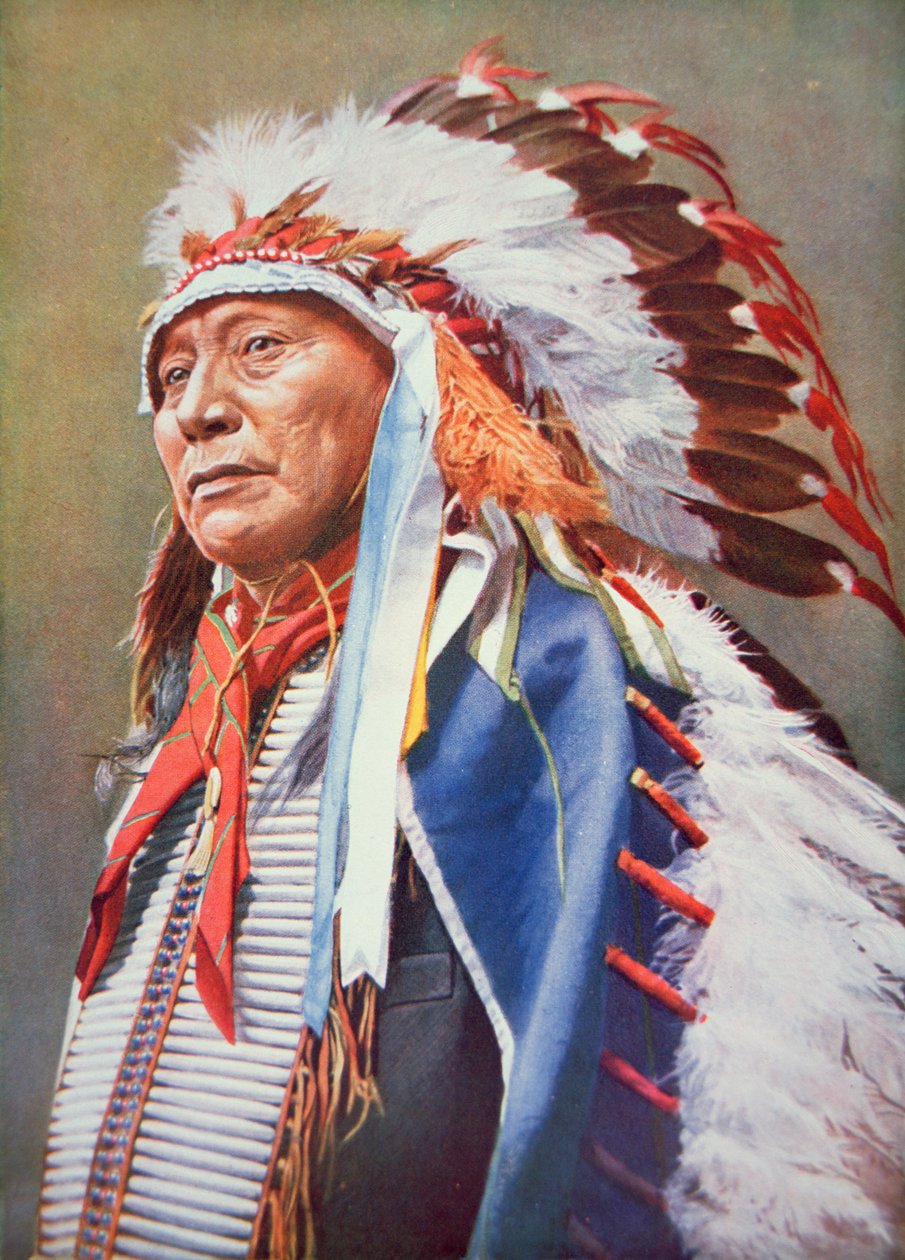 Chief Hollow Horn Bear (1850-1913) (färg litho) av School American