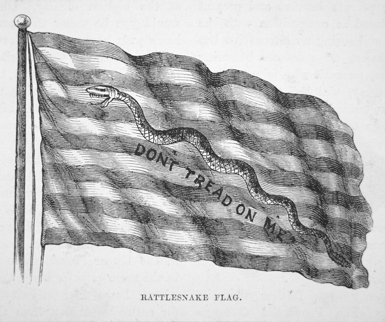 Den amerikanska flottans flagga, som flögs av John Paul Jones (litho) av School American