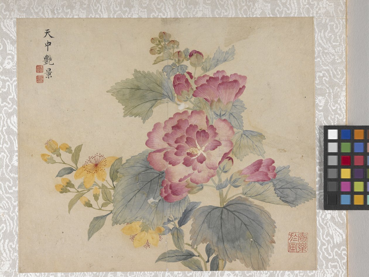 8-bladsalbum med blommor, mitten av 1700-talet (bläck och färg på papper) av School Chinese