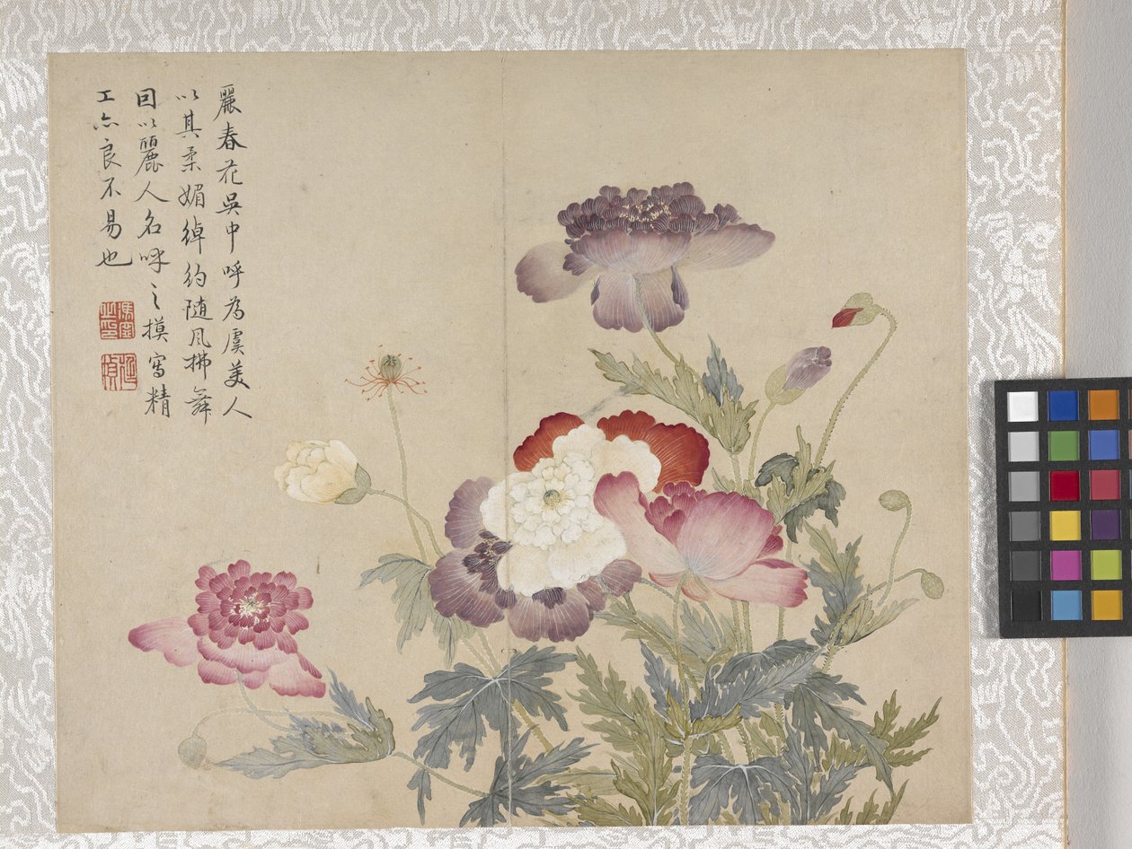 8-bladsalbum med blommor, mitten av 1700-talet (bläck och färg på papper) av School Chinese