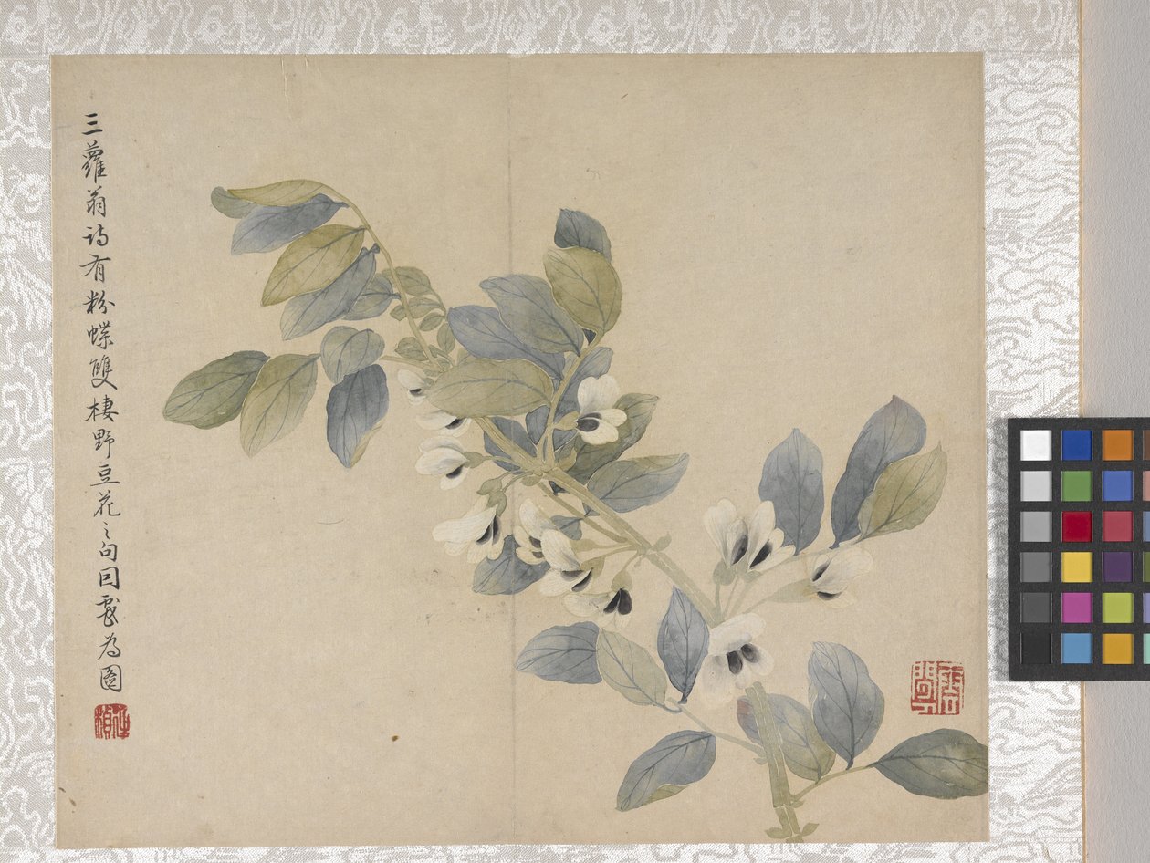8-bladsalbum med blommor, mitten av 1700-talet (bläck och färg på papper) av School Chinese