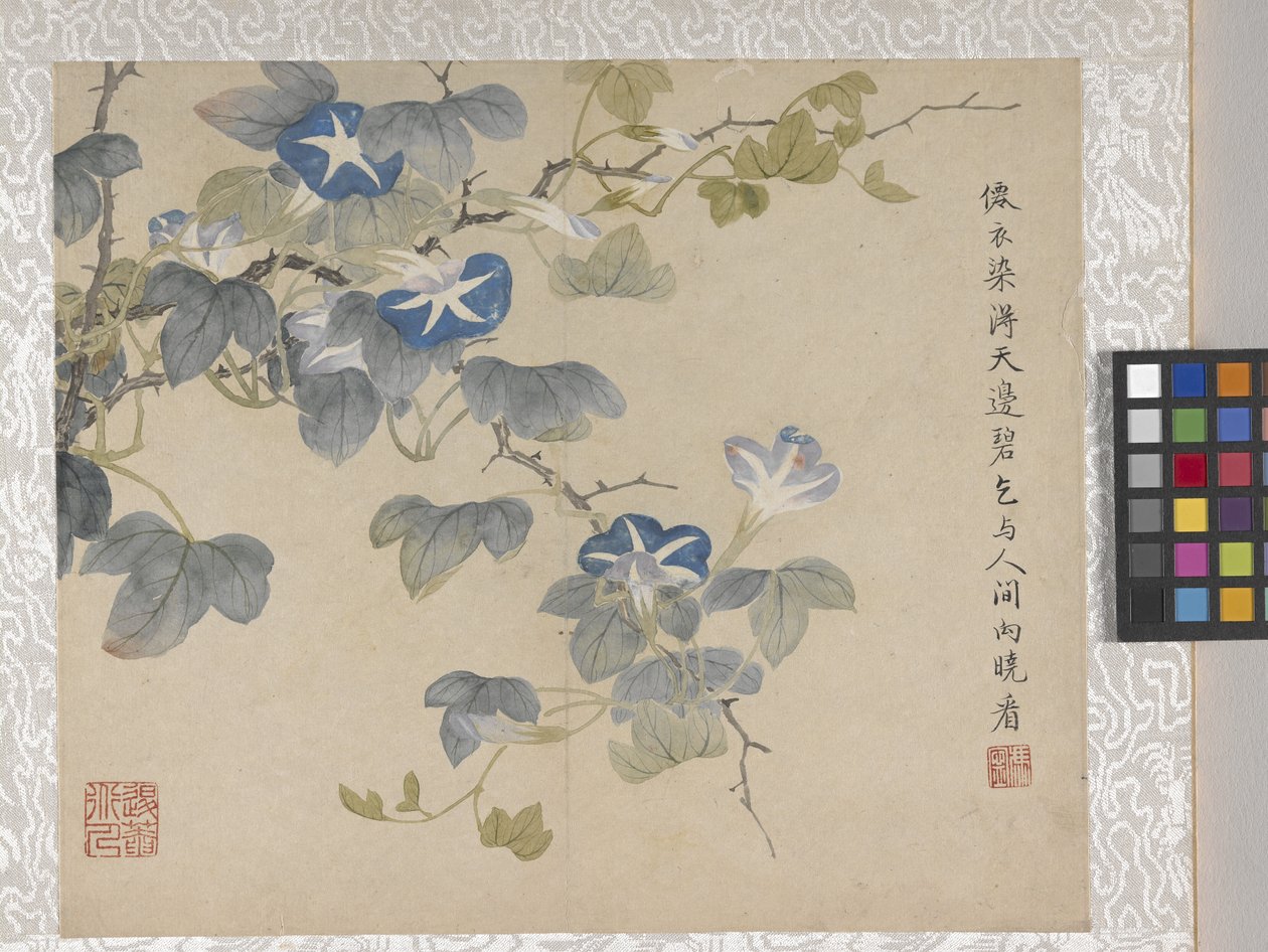 8-bladsalbum med blommor, mitten av 1700-talet (bläck och färg på papper) av School Chinese