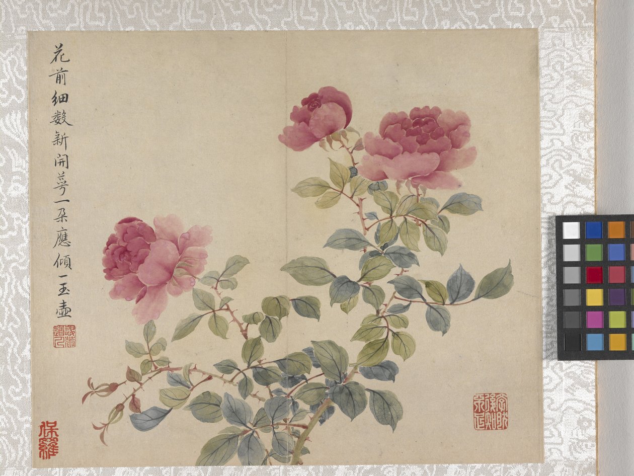8-bladsalbum med blommor, mitten av 1700-talet (bläck och färg på papper) av School Chinese
