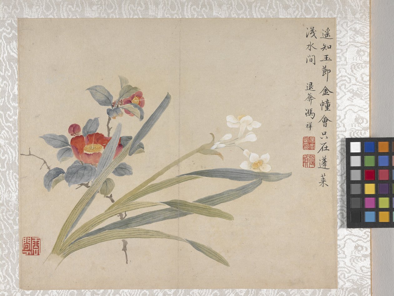 8-bladsalbum med blommor, mitten av 1700-talet (bläck och färg på papper) av School Chinese