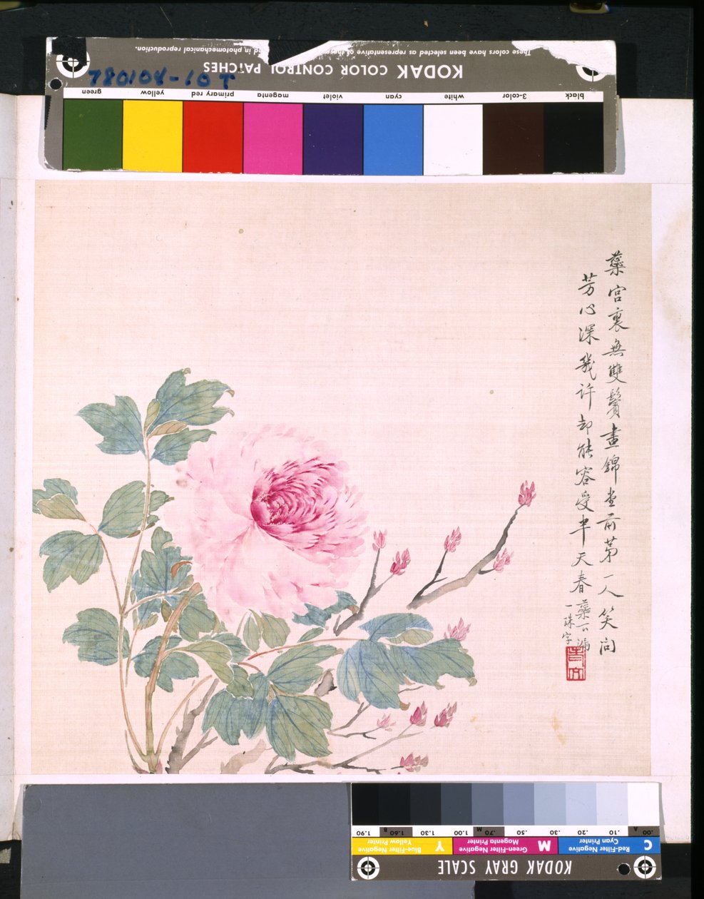 Album Of Flowers And Birds, okänt datum (tusch och färg på siden) av School Chinese