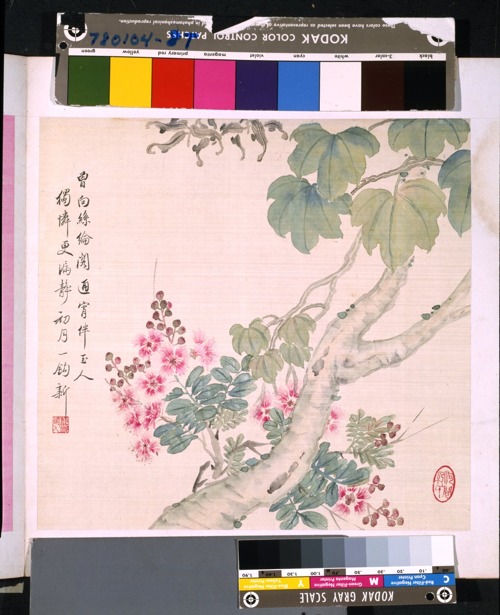 Album Of Flowers And Birds, okänt datum (tusch och färg på siden) av School Chinese