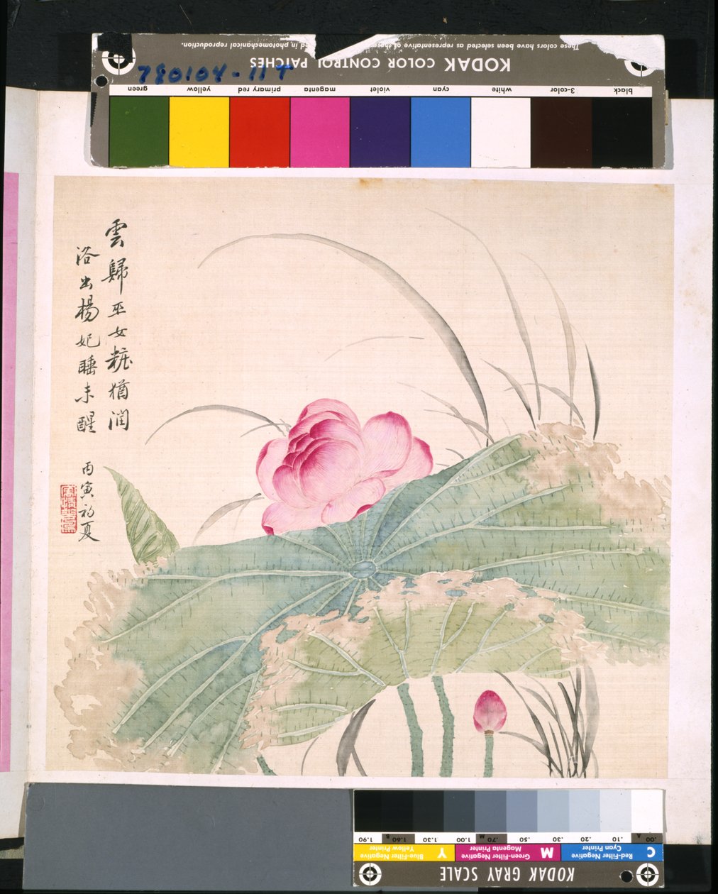 Album Of Flowers And Birds, okänt datum (tusch och färg på siden) av School Chinese