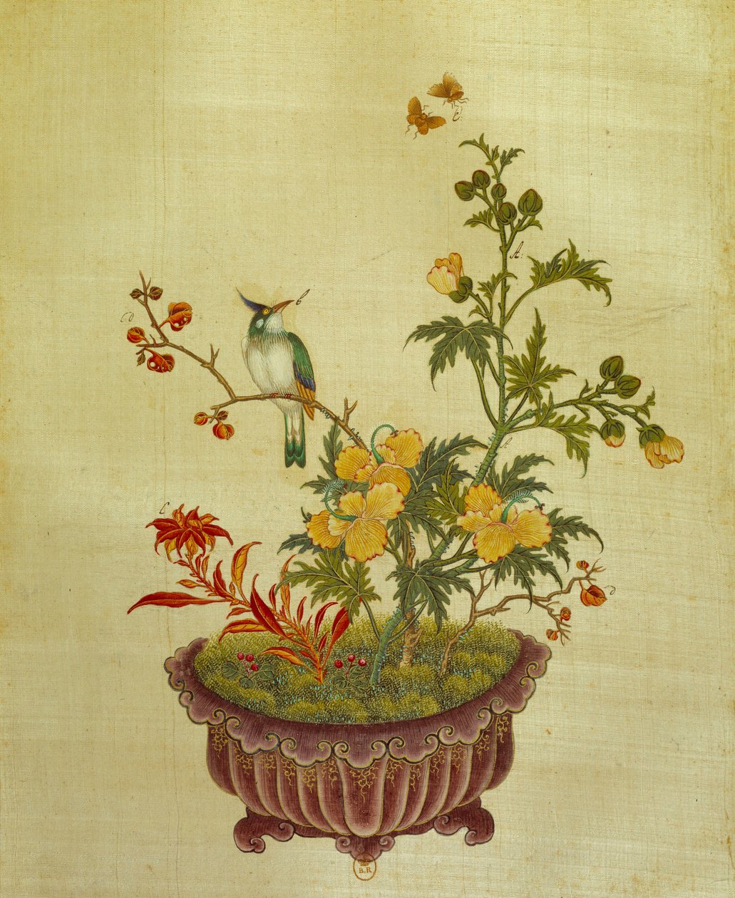 Konst Kina: målning på sidenblommor och fåglar. Anonym från 1700-talet. Paris, BN av School Chinese