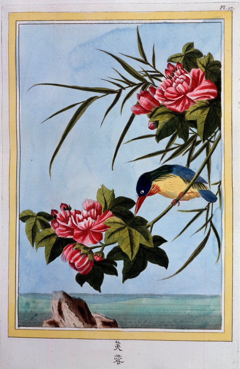 Fågel på en gren (Fågelfluga?) Gouache från 1700-talet Dijon, kommunalt bibliotek av School Chinese