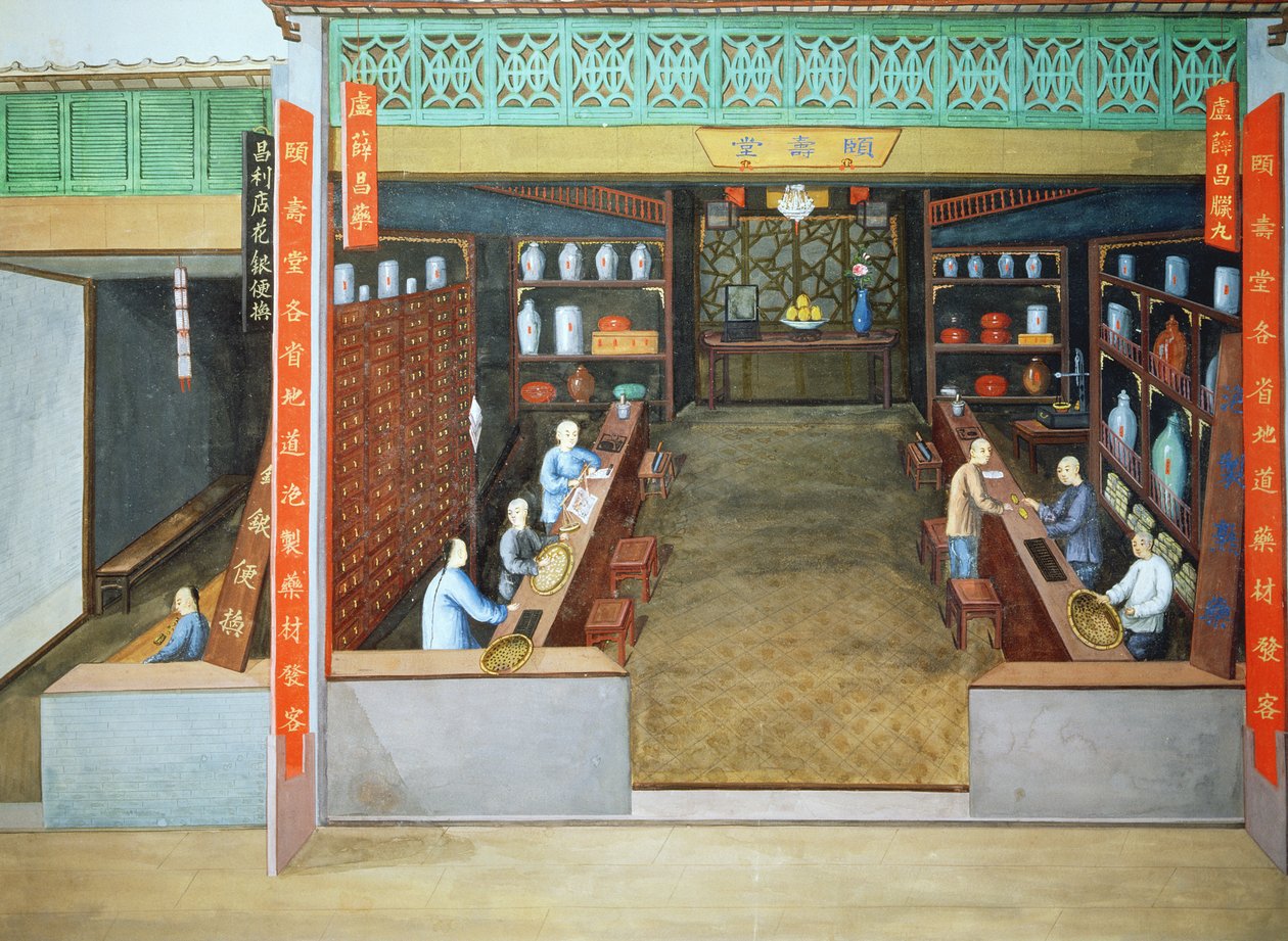 Kinesisk medicin, ca 1830 (gouache på papper) av School Chinese