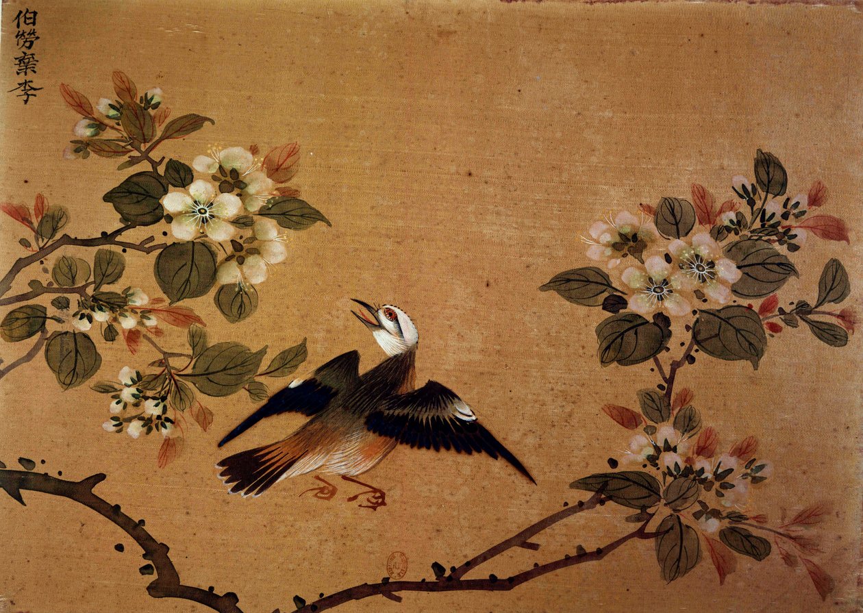 Kinesisk konst: fågel och blommor. 1500-tals sidenmålning. Paris, B.N. av School Chinese