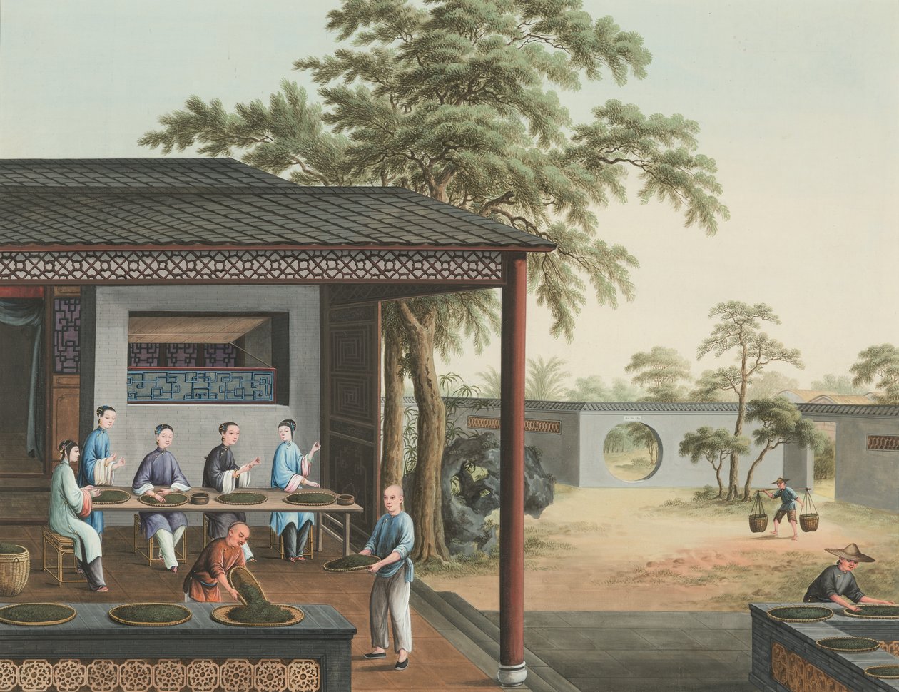 Teproduktion, ca 1820 (kroppsfärg och guldfärg på siden, nedlagd på papper) av School Chinese
