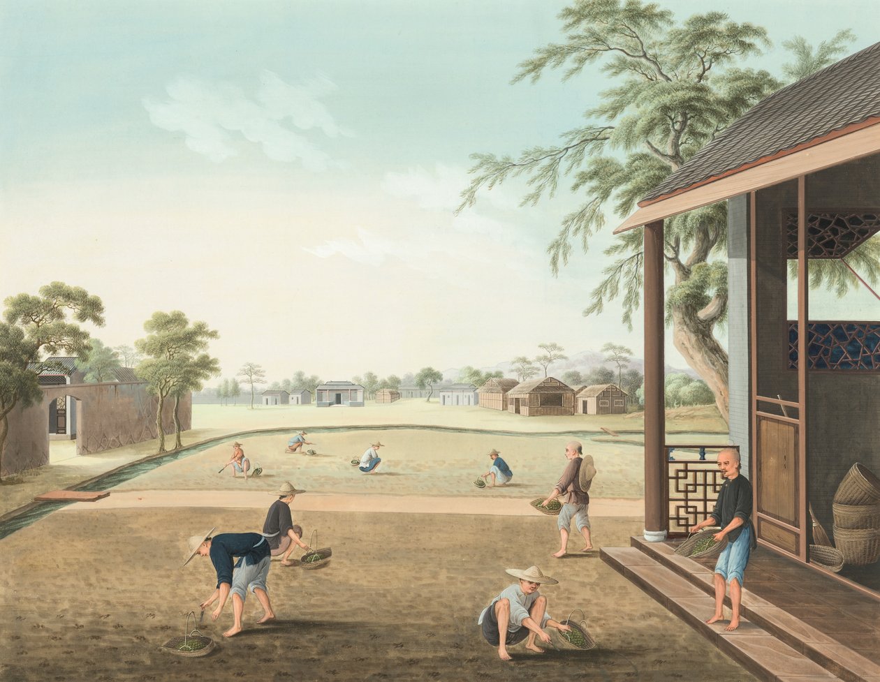 Teproduktion, ca 1820 (kroppsfärg och guldfärg på siden, nedlagd på papper) av School Chinese