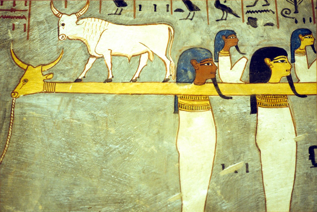 Forntida Egypten, Målning, Underjordens gudar tjudrade till Hathor, gudomlig ko, bogserar solbarken, Ramses I:s grav, Thebe av School Egyptian