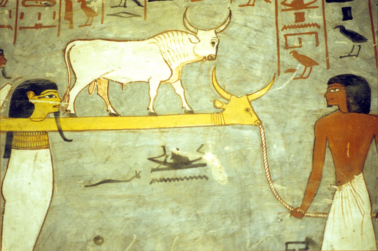 Forntida Egypten, Målning, Ramses I:s grav, Underjordens gudar tjudrade till Hathor, bogserar solbarken av School Egyptian