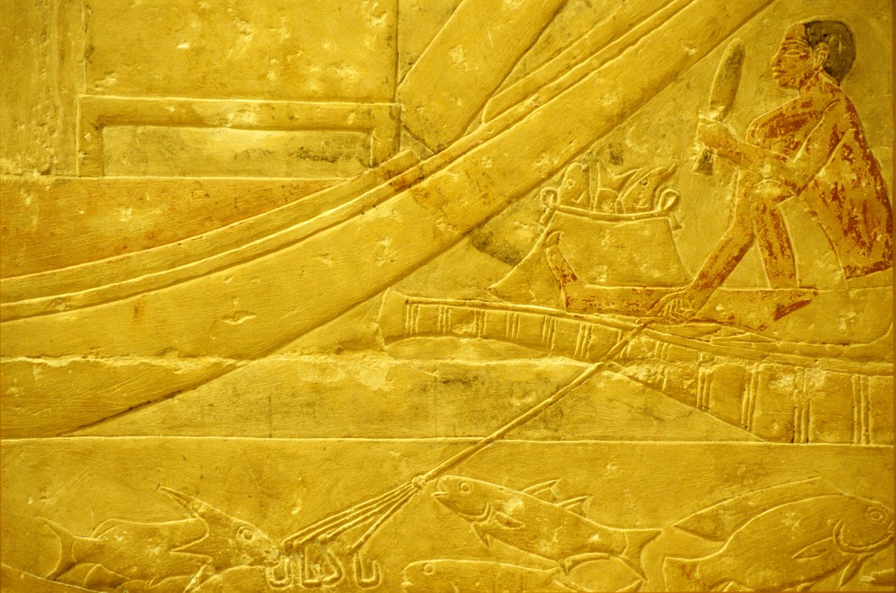 Forntida Egypten, Väggsnideri/målning, Mastaba/Tomb of Idout, Saqqara, 2323-2150 f.Kr., En fiskare som skalar fisk och håller ett fyrkantigt spjut (foto) av School Egyptian
