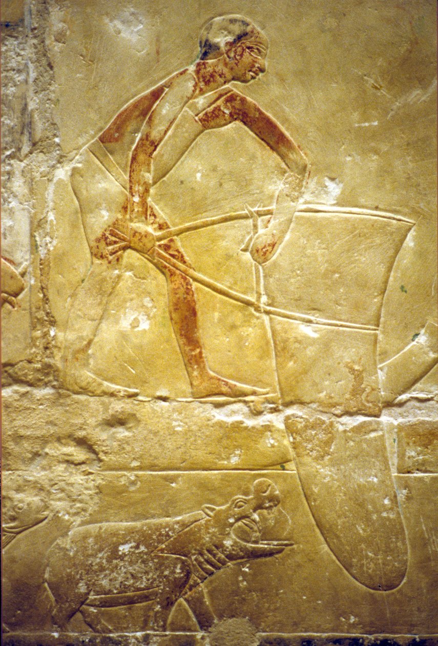 Forntida Egypten, Väggristning/-målning, Idouts mastaba/grav, Saqqara, 6:e dynastin, Fiske med fångstnät, Flodhäst (foto) av School Egyptian