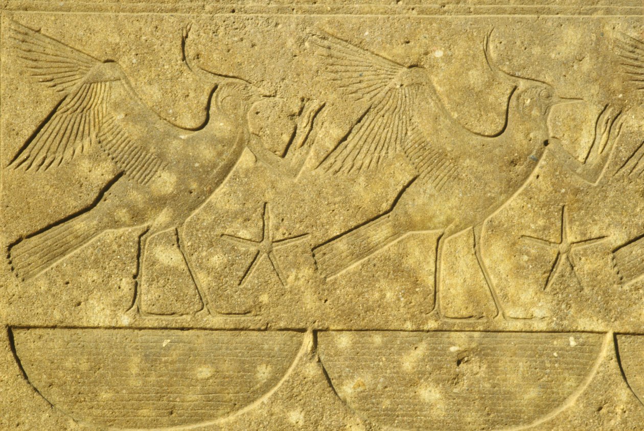 Forntida Egypten, Väggmålning/ristning, Lapwings, representerar de olika stammarna i Egypten, Karnak-templet, Luxor (foto) av School Egyptian