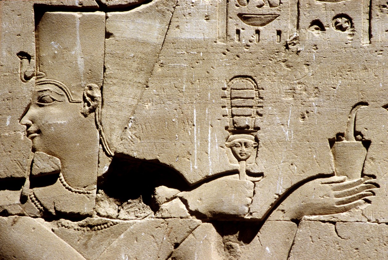 Forntida Egypten, Väggmålning/ristning, Farao Ptolemaios skakar en systrum och offrar rökelse, Horustemplet, Edfu (foto) av School Egyptian