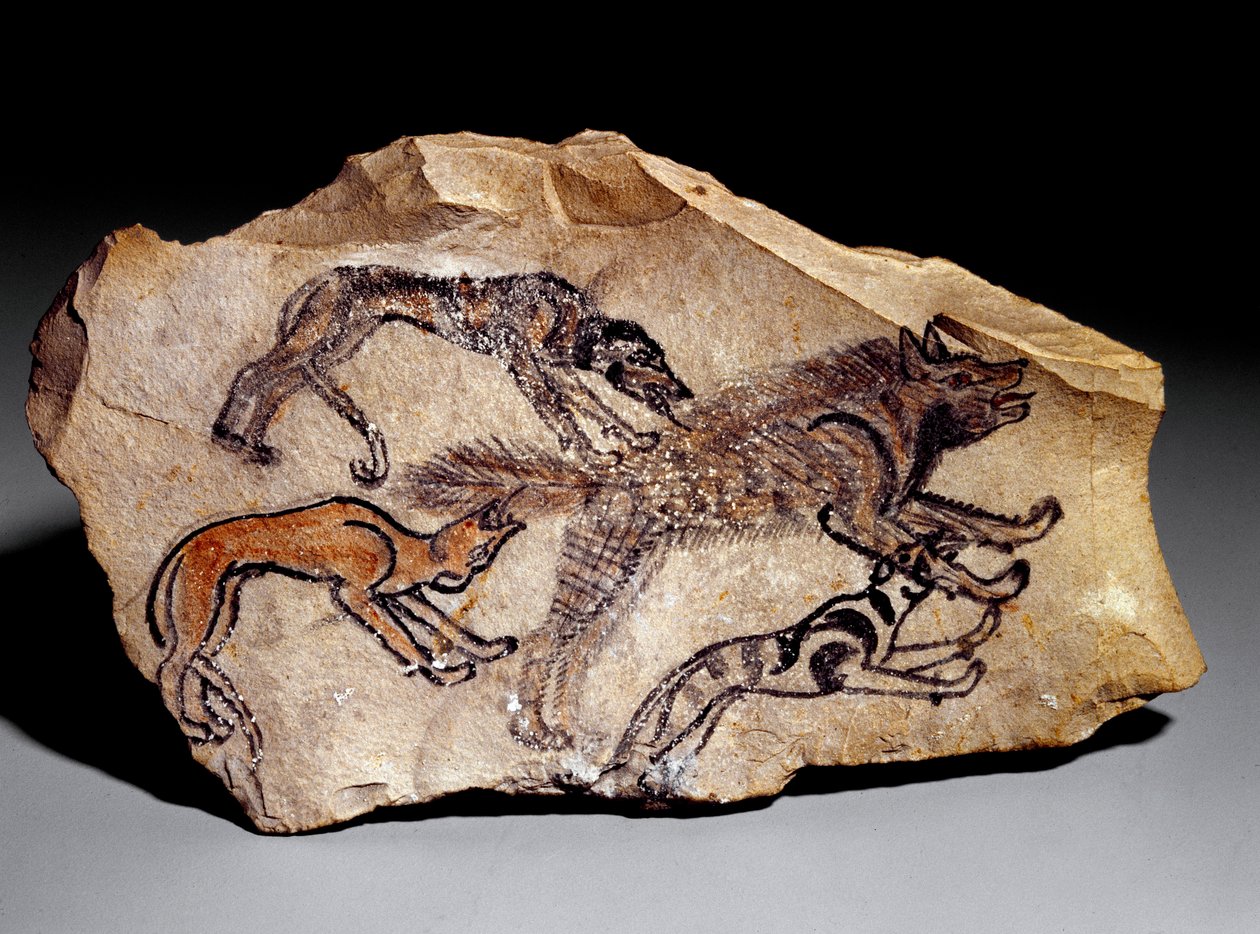 Hundar som jagar hyena (Stengravyr, ca 1300-1100 f.Kr.) av School Egyptian