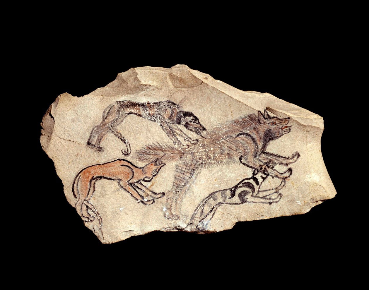 Egyptisk antikvitet: ostrakon (eller ostracon) (plural: ostraca eller ostraka) (keramik) i kalksten som representerar tre hundar som jagar en hyena. 1300-1070 f.Kr. Sol. 0,15x0,08 m Från Deir el Medineh. Paris, Louvren av School Egyptian
