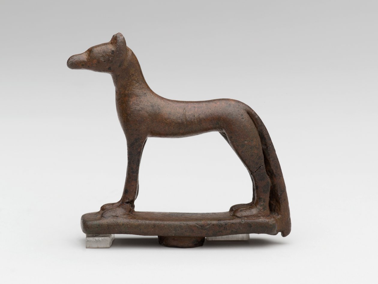 Schakal eller hund (brons) av School Egyptian