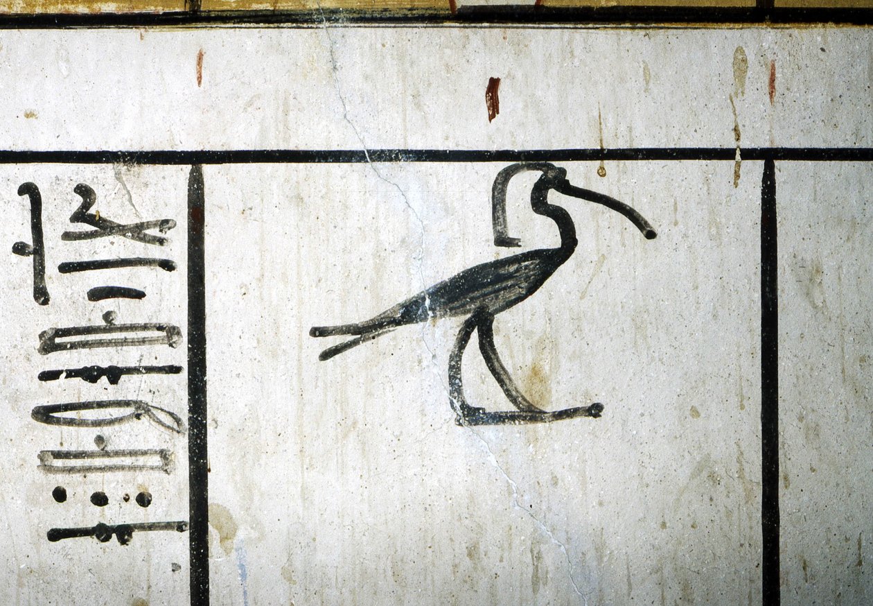 Luxor, Thebe: Konungarnas dal, Amenophis III:s grav, egyptisk farao av 18:e dynastin (-1410 - -1370). av School Egyptian