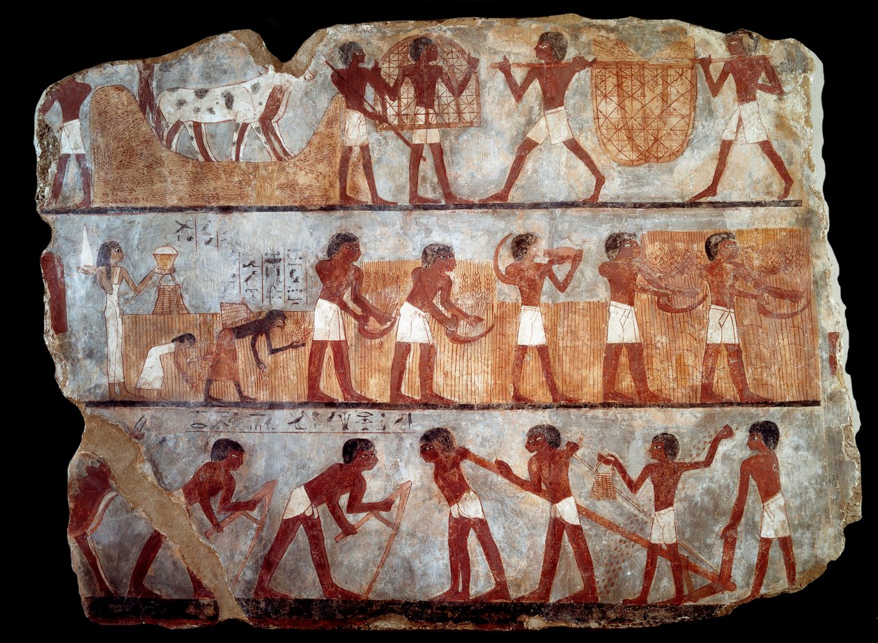 Sådd och återkallad från skrivarens grav Unsou (fresk) av School Egyptian