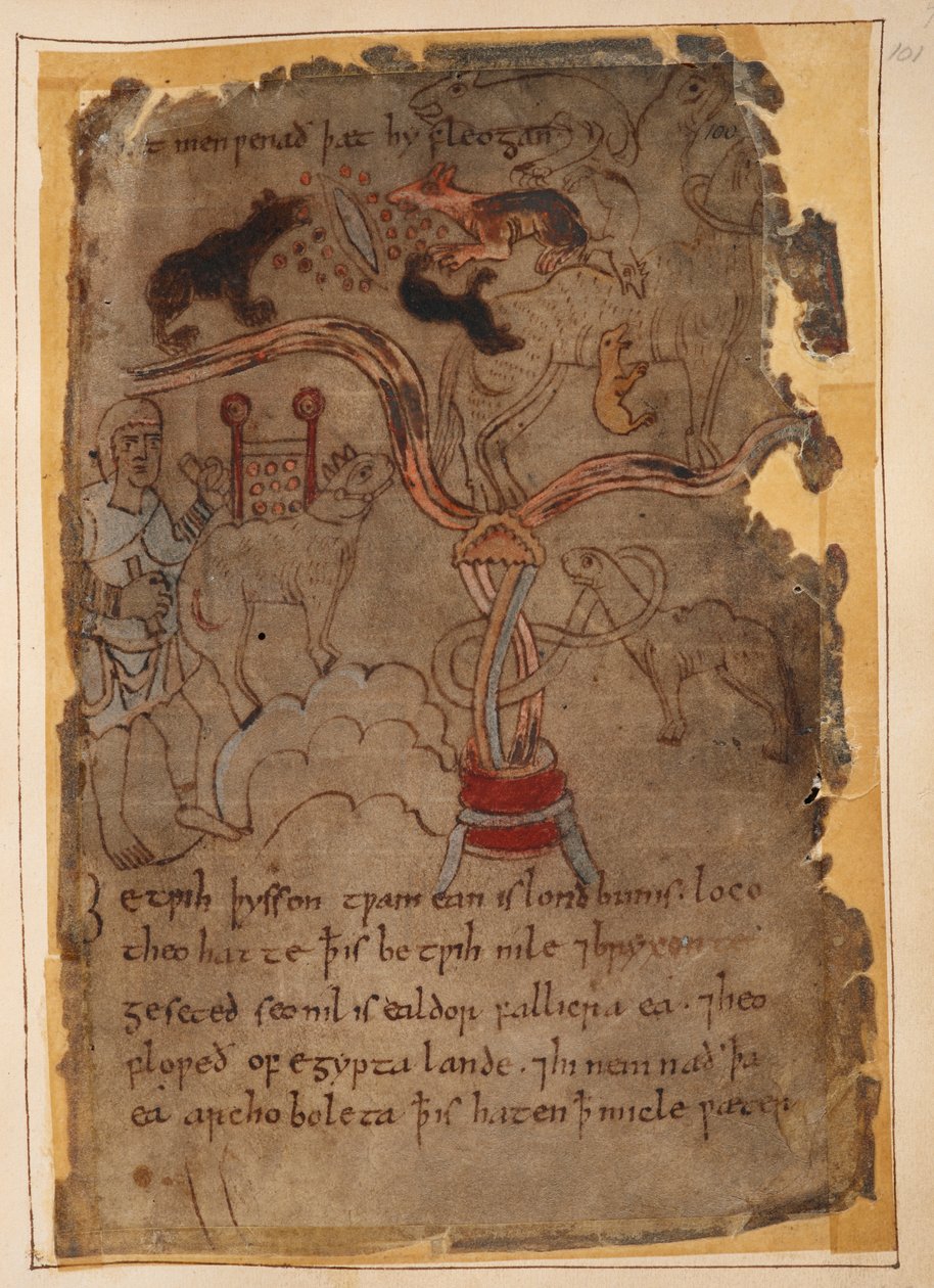 Anglosaxiska teckningar av djur, illustration från 