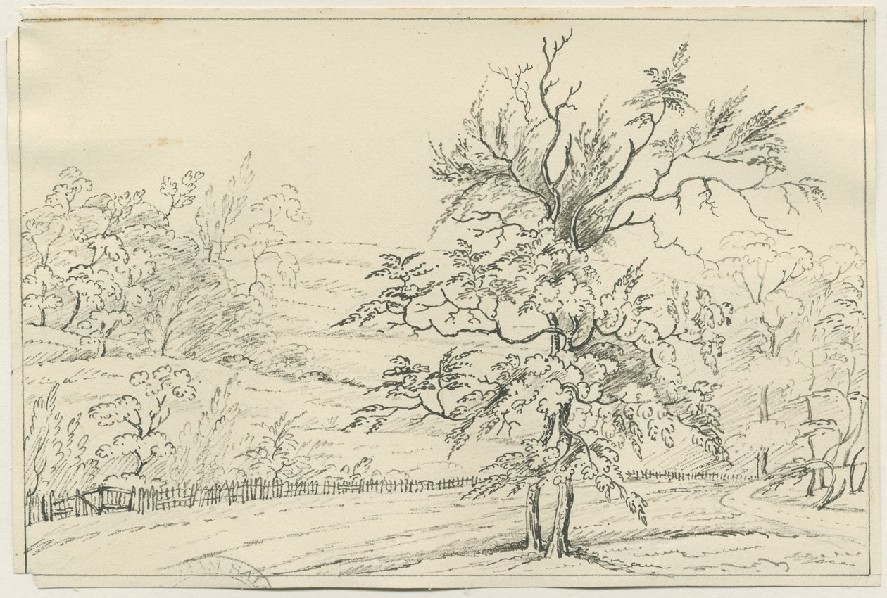 Cannock Chase: penn- och pennteckning, nd [?1800-talet] (teckning) av School English