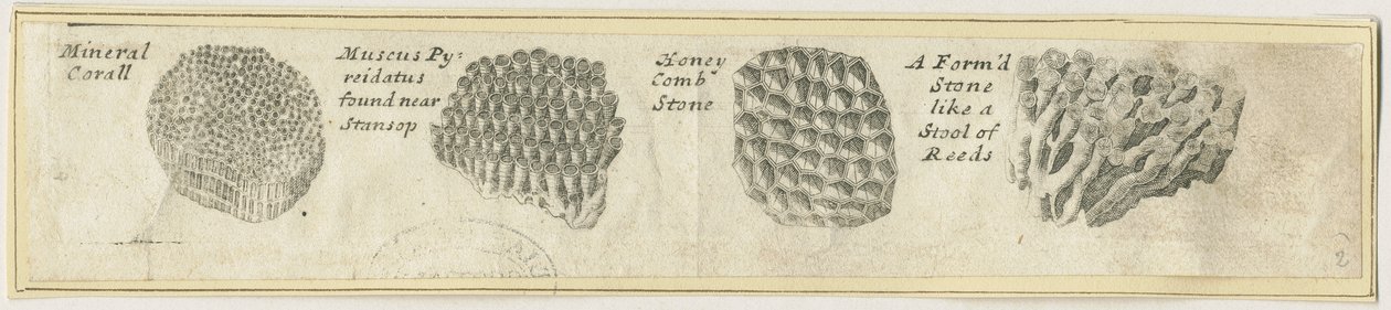 Dovedale - Mineralkorall: kopparstick, nd [?1800-tal] (tryck) av School English