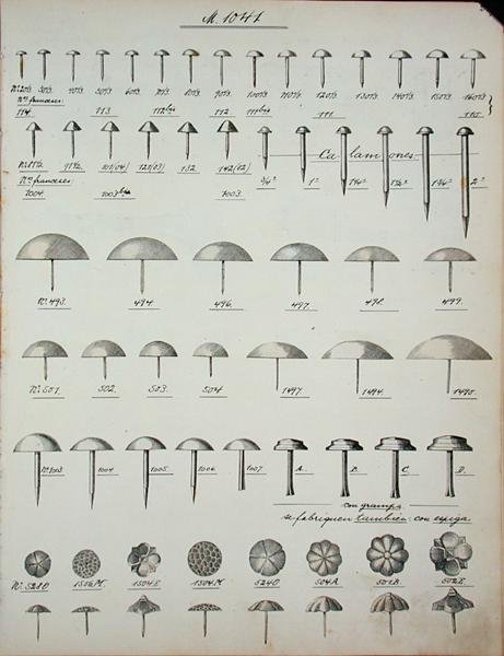 Spikar, stift och stift, från en handelskatalog över inhemska varor och tillbehör, ca 1890-1910 (litho) av School English