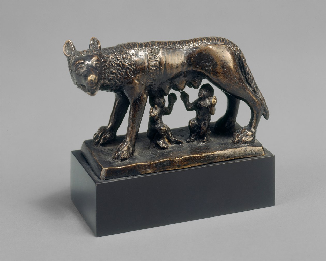 Romulus och Remus diade av en varg av School Florentine
