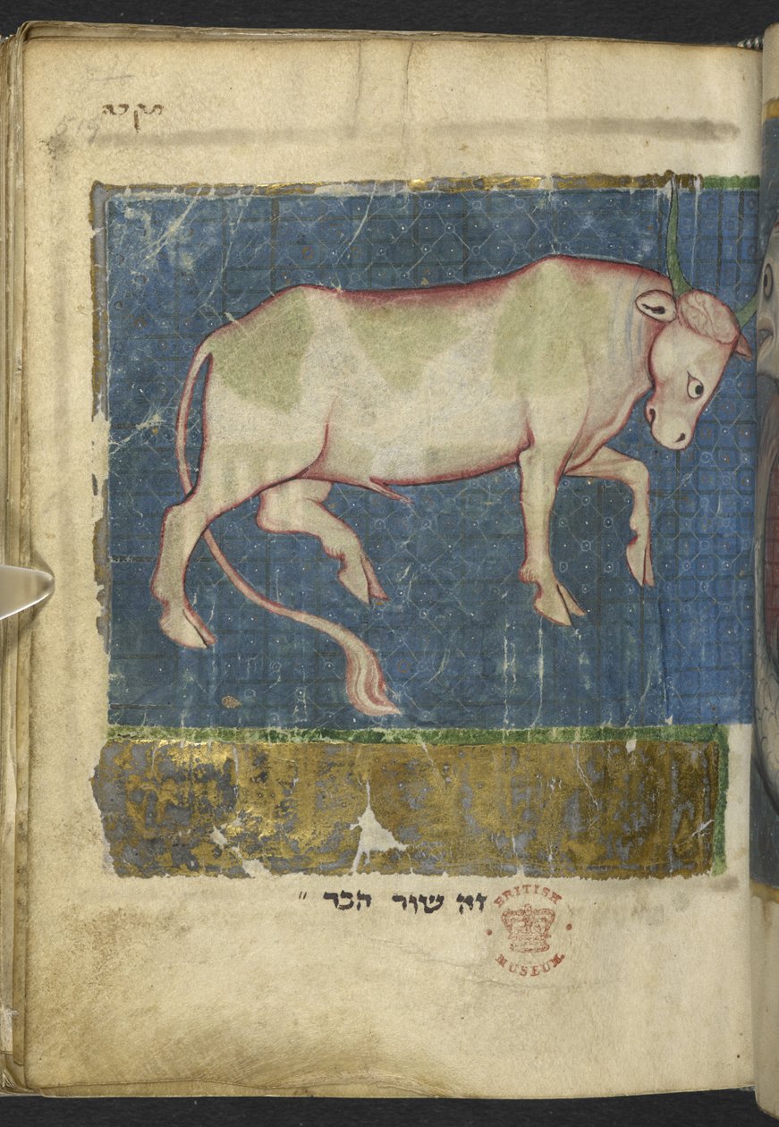 Lägg till MS 11639 f.519t En tjur, från en blandning av bibliska och andra texter (