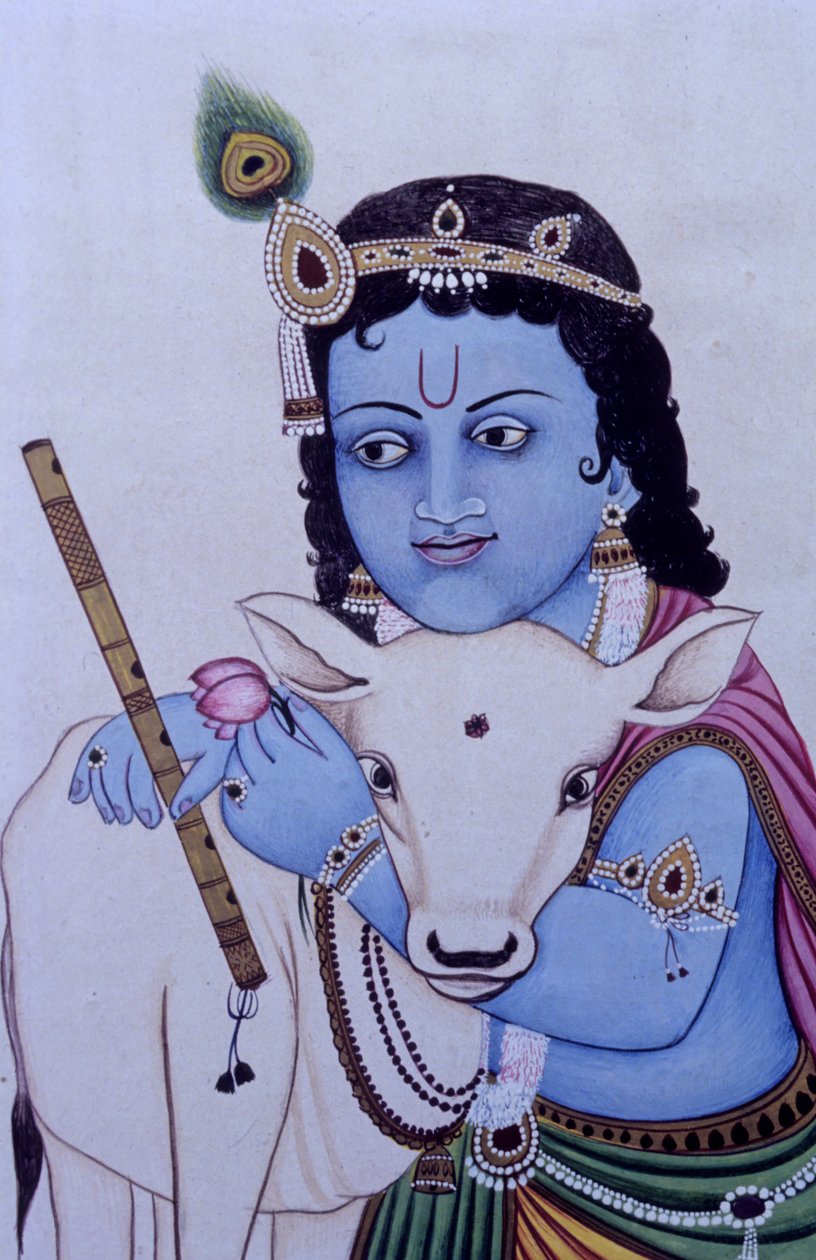 Lord Bal Krishna med ko i miniatyr Målning på papper av School Indian
