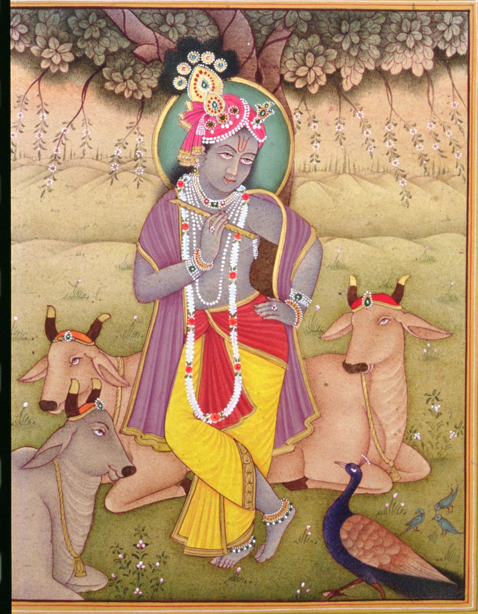 Shri Krishna (miniatyr) (gouache och akvarell på papper) av School Indian