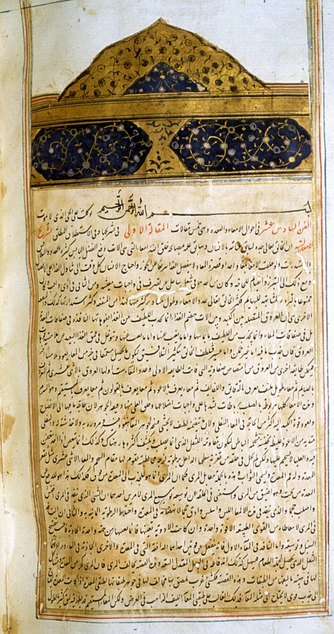 Sida från The Canon of Medicine (al-Qānūn fī aṭ-Ṭibb) av Avicenna av School Iranian