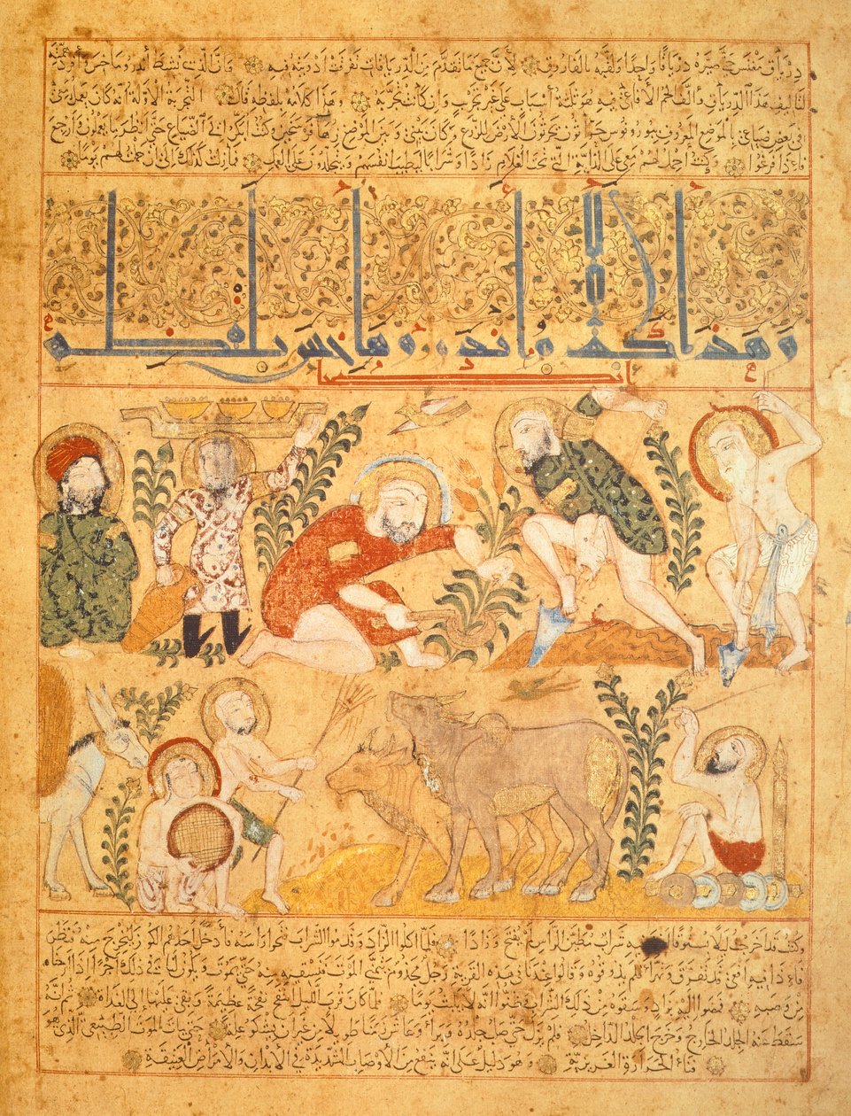 Andromenadros, Apotekaren, kartlägger jordbruksarbete, illustration från 