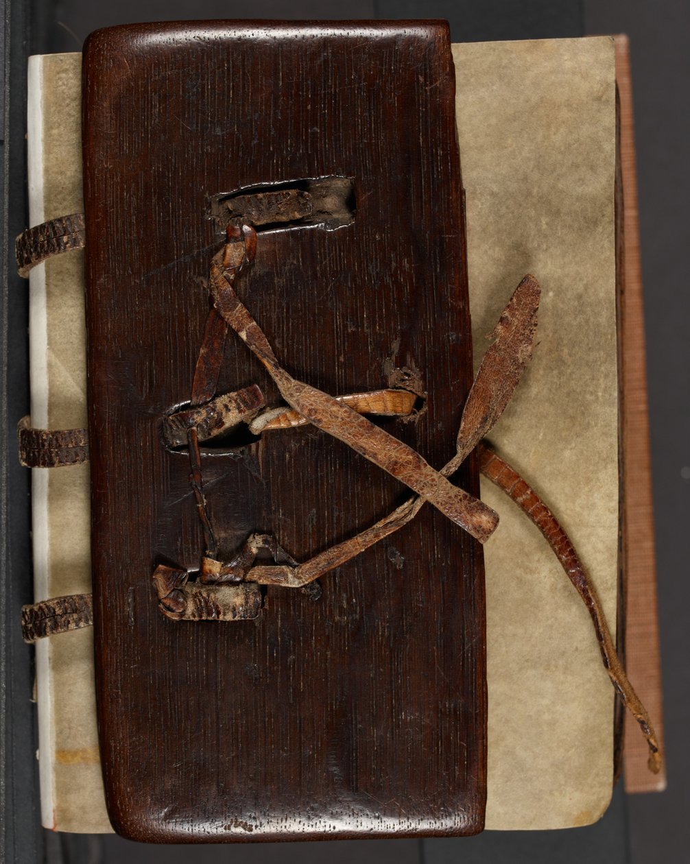MS CCC 282 Corpus Irish Missal Book Binding, c.1120-30 (ek, läder & veläng) av School Irish