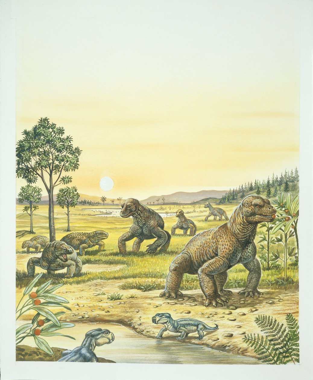 Anomodonter, förgrund, Pareisaurer, vänster, och Dinocefalians, höger, Paleozoikum, Permperiod (färg litho) av School Italian