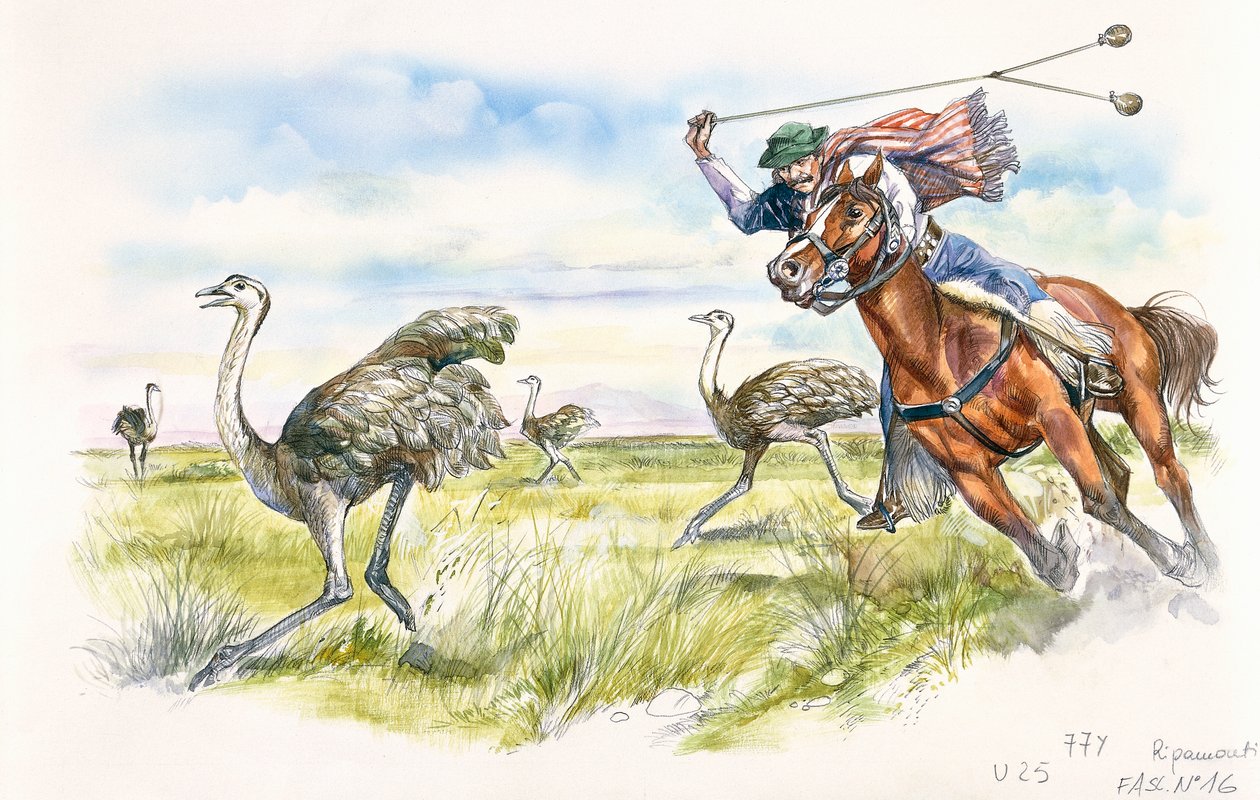 Argentina - herdar som jagar rheas i Pampas (färg litho) av School Italian