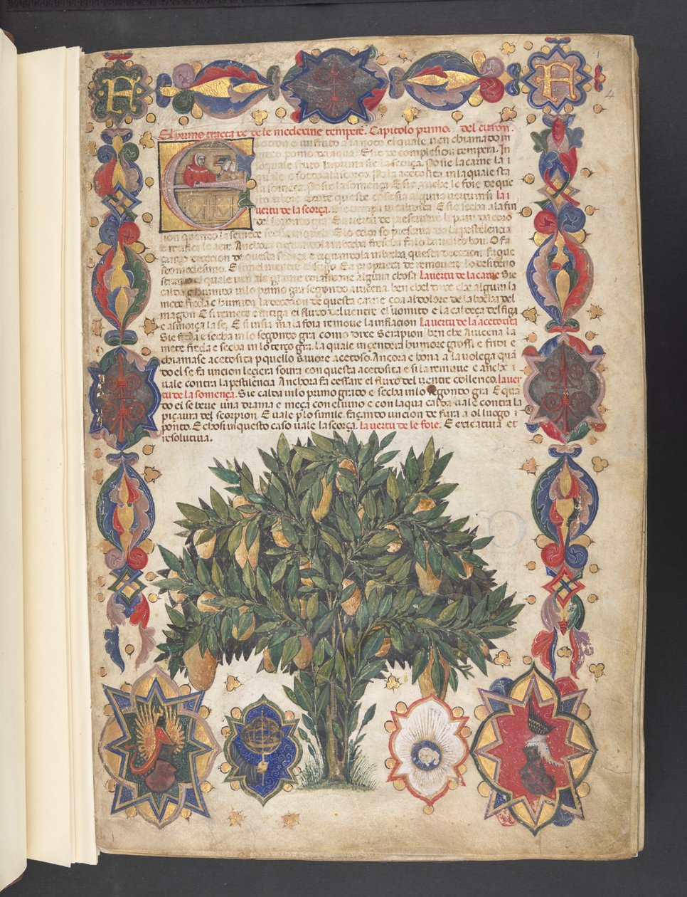 Egerton 2020 f.4r Full ram med heraldisk dekoration och historisk initial 