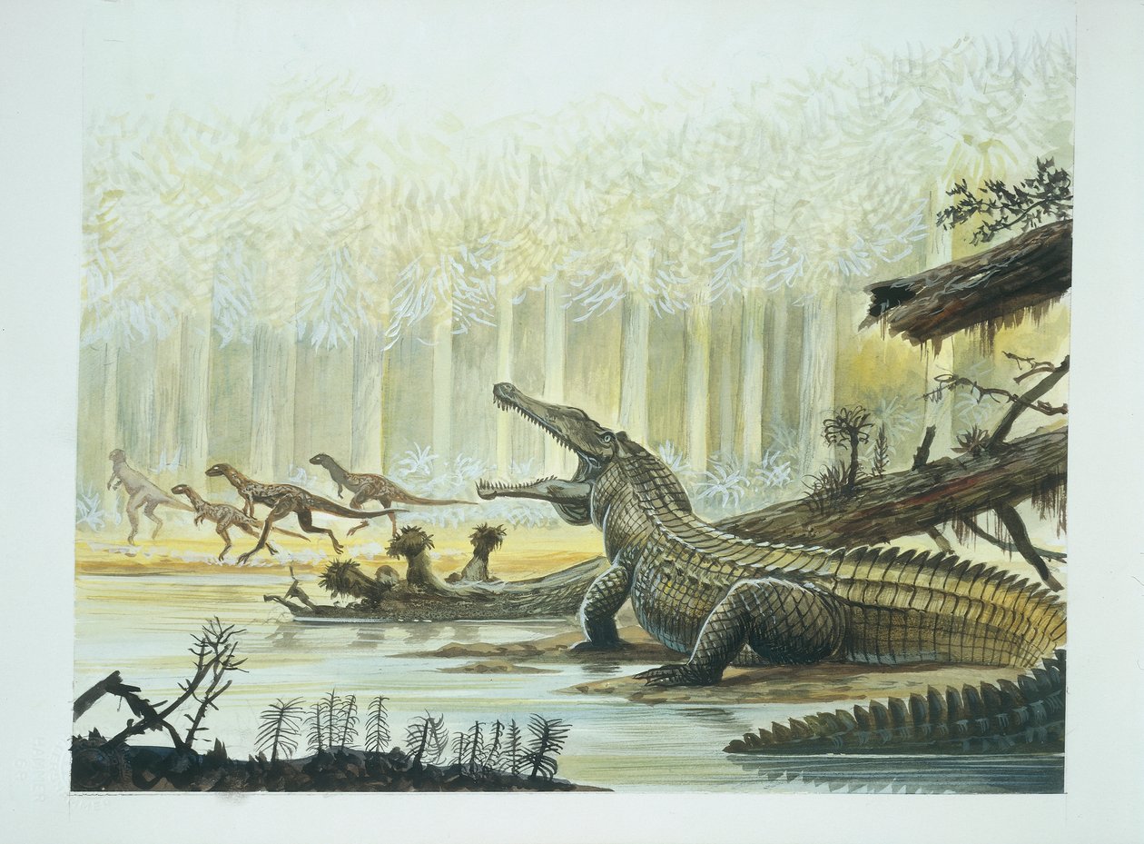 Rutiodon med Fabrosaurus i bakgrunden, Trias (färglitografi) av School Italian