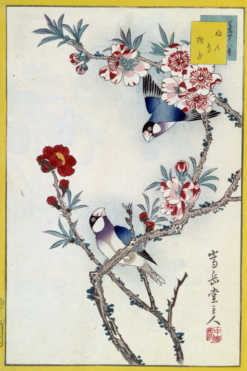 Fåglar i ett blommande träd - japanskt tryck av Japanese School