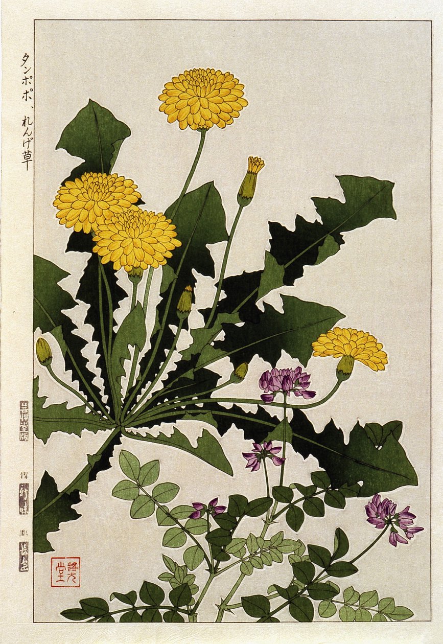 Maskrosblommor - japanskt tryck av Japanese School