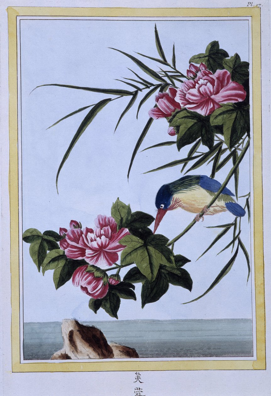 Kingfisher - japanskt tryck av Japanese School
