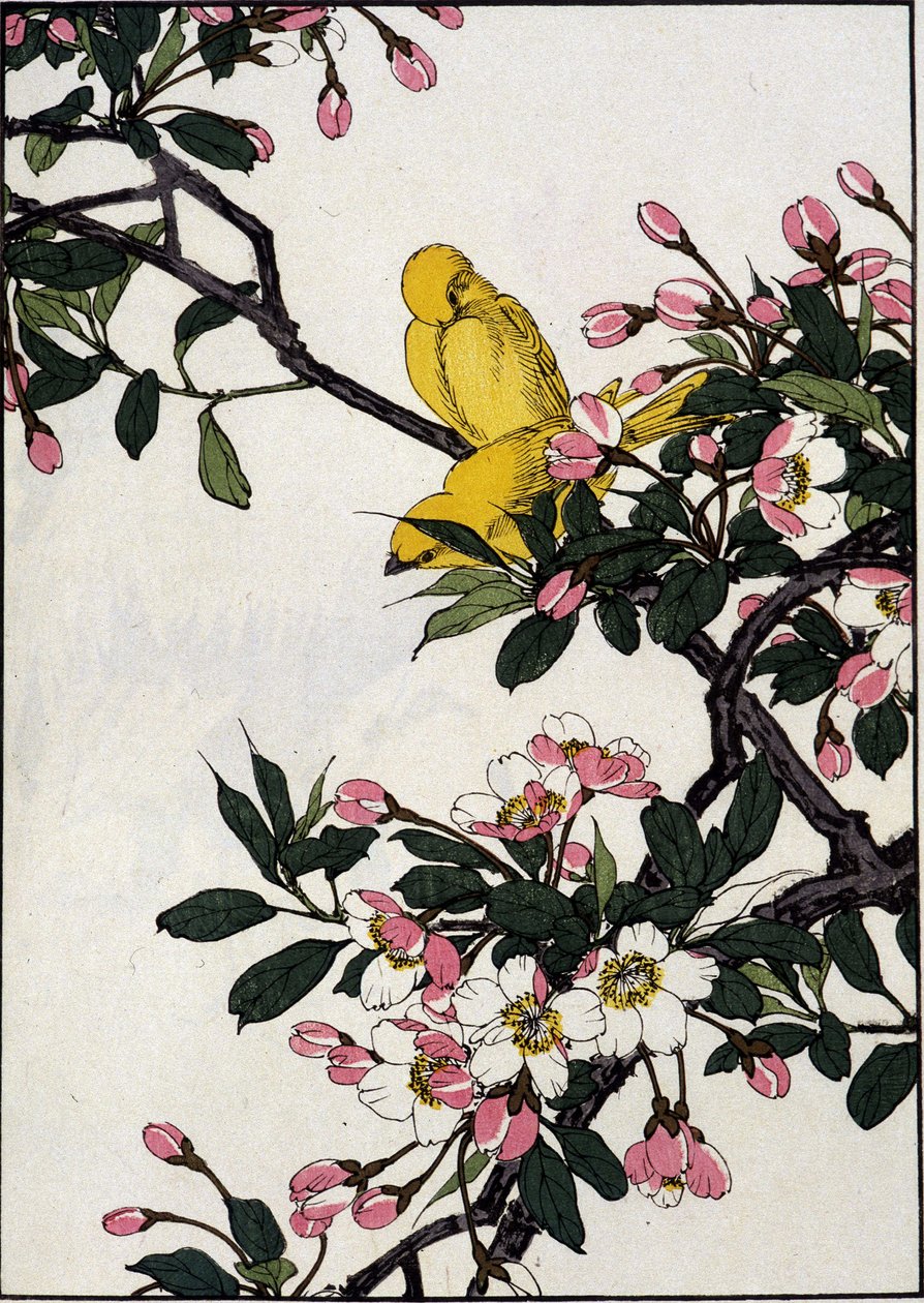 Seriner på en blommande körsbärsgren - japanskt tryck av Japanese School
