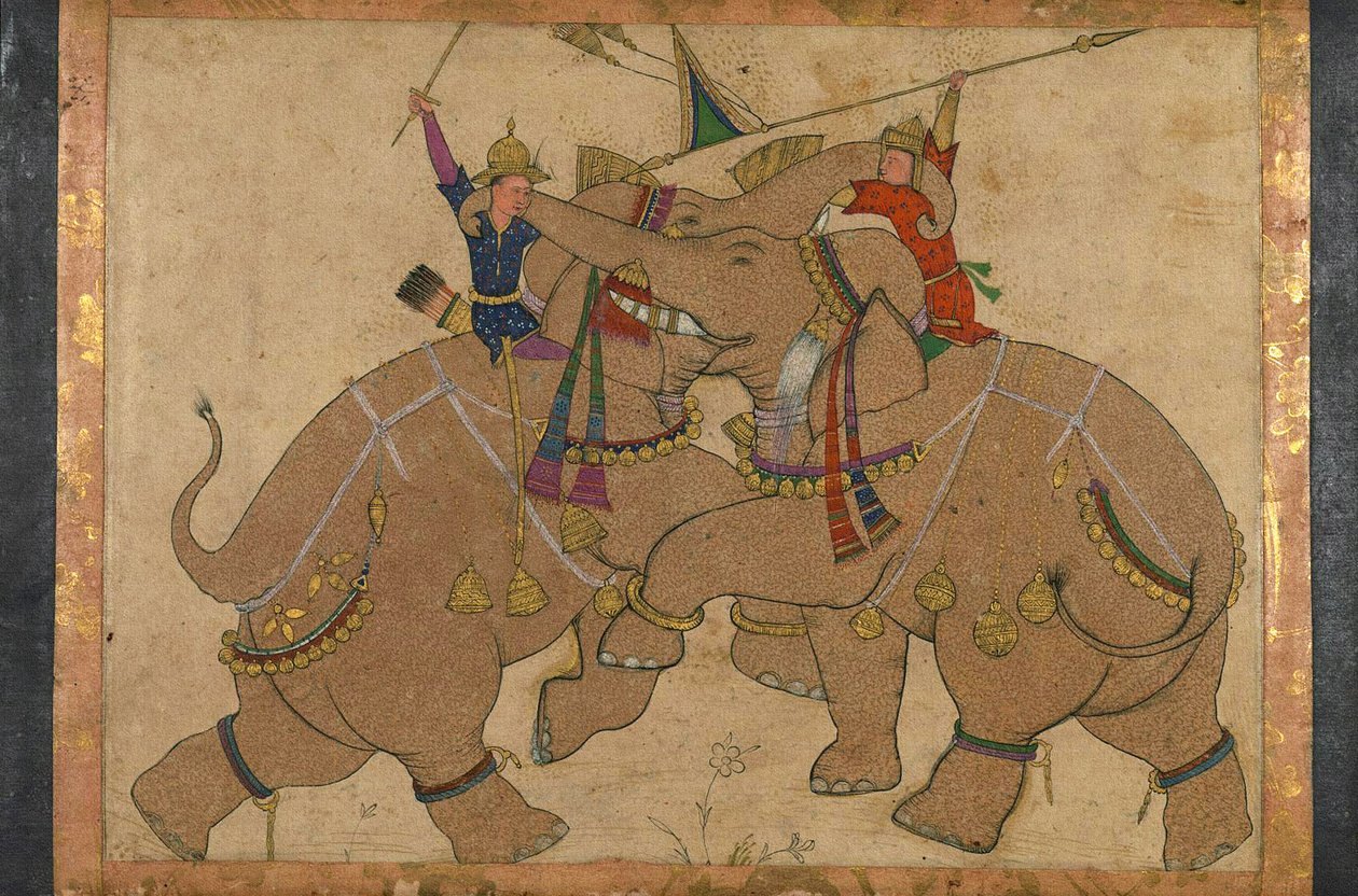 Elephant Combat (bläck, pigment på papper monterad på papp) av School Mughal
